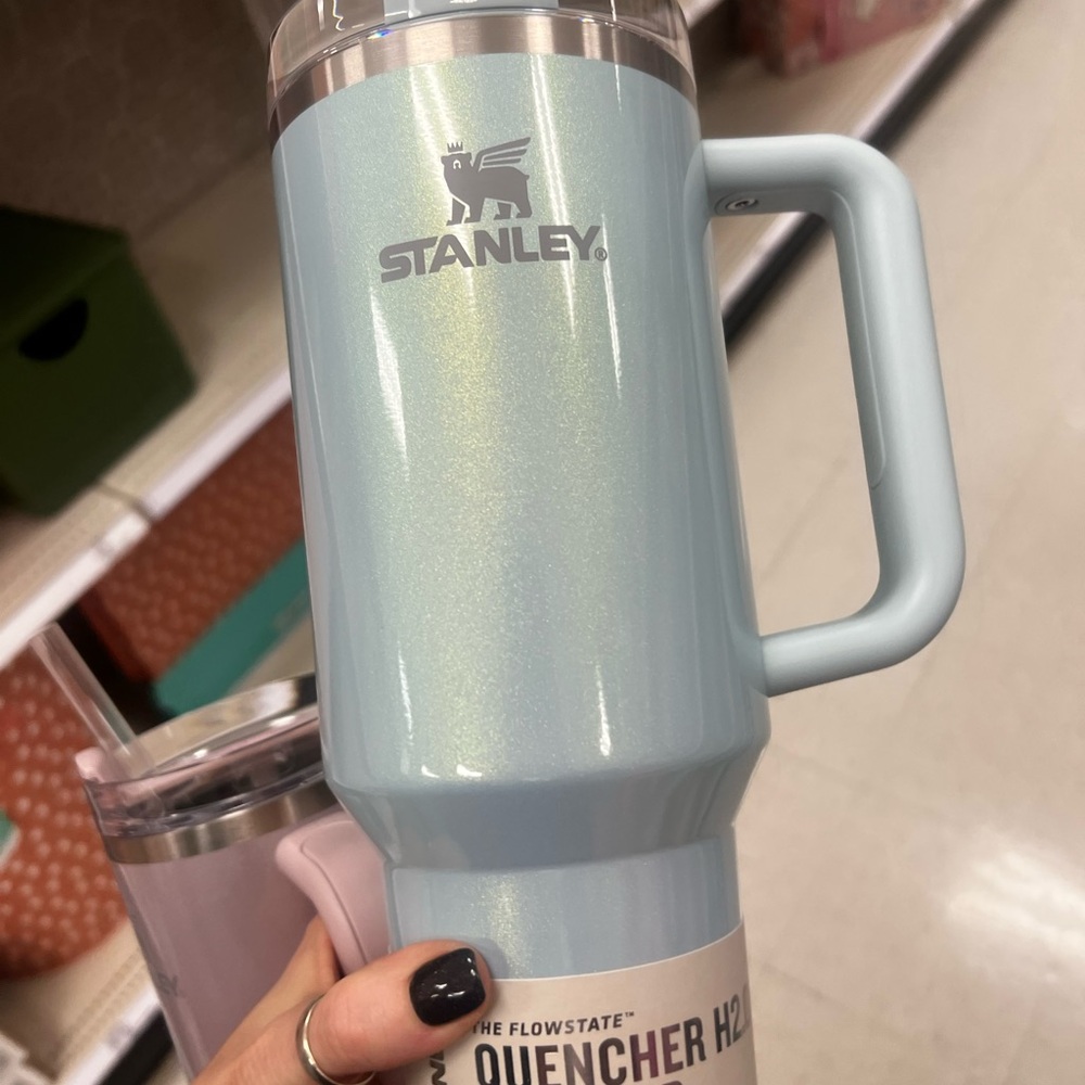 Blueberry Milk 40oz Stanley & Aster!! Limited edition. Great for Easter 🐣